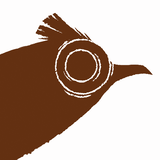 Talenshi Studios logo
