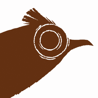 Talenshi Studios logo