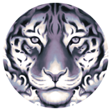 MsMaw logo